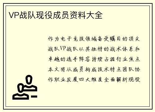 VP战队现役成员资料大全