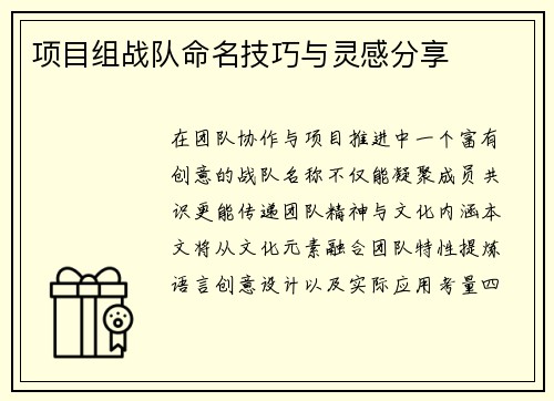 项目组战队命名技巧与灵感分享
